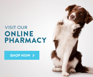 Online-Pharmacy