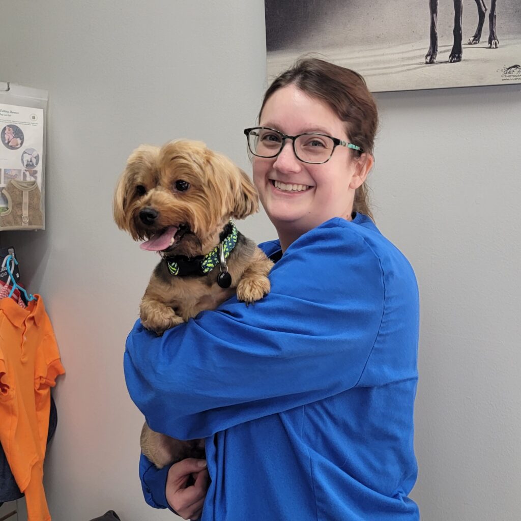 Veterinarian In Knoxville, TN Northshore Animal Hospital